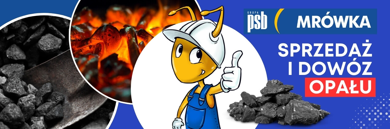 zdjęcie na stronie głównej